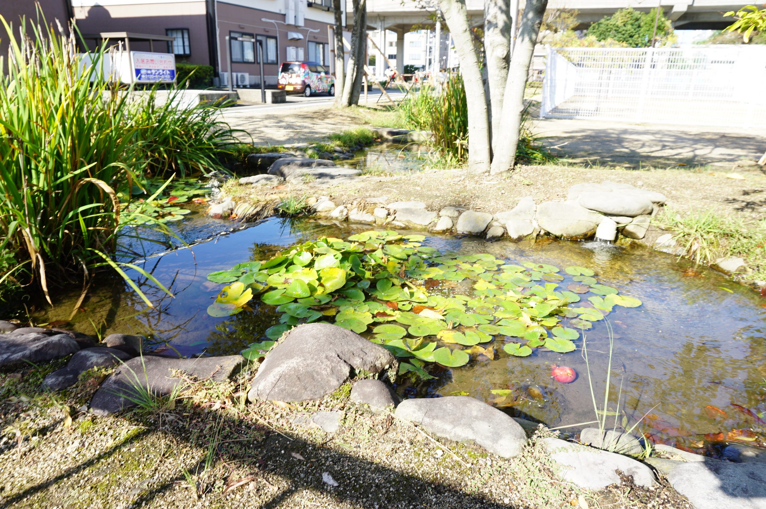 2号公園ビオトープの写真