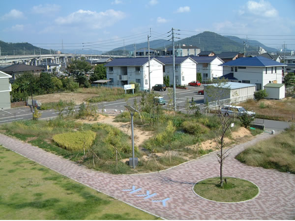 4号公園の写真