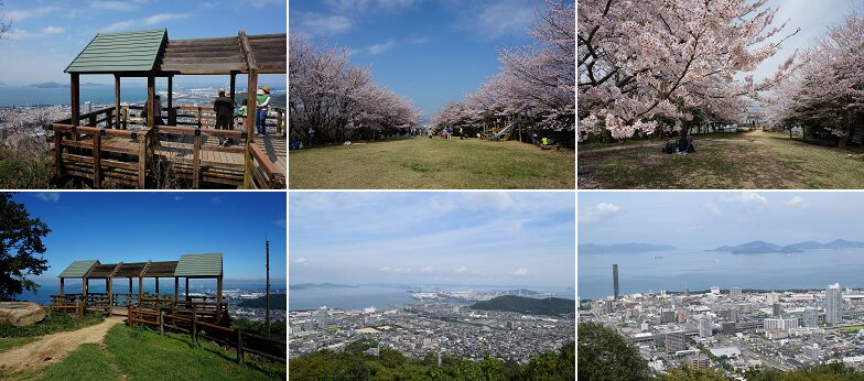 青の山山頂の画像