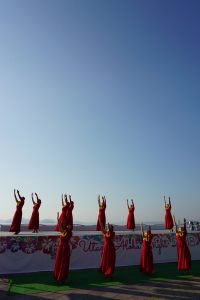アロハナイトの画像2