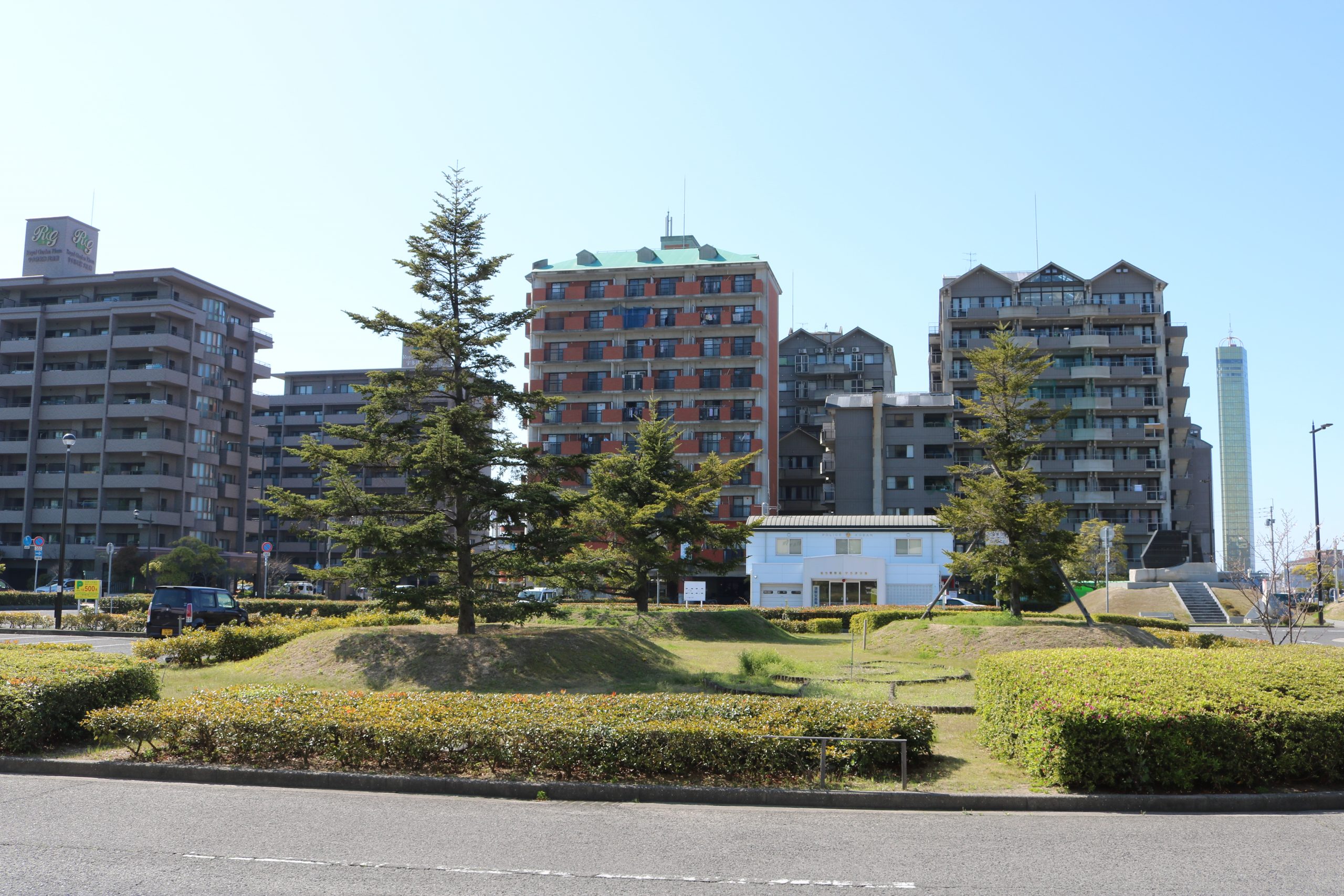 宇多津駅前北口広場＿モミの木