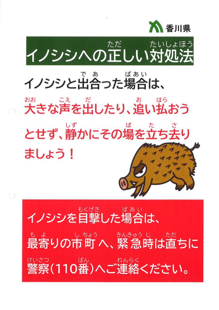 イノシシに注意してください。